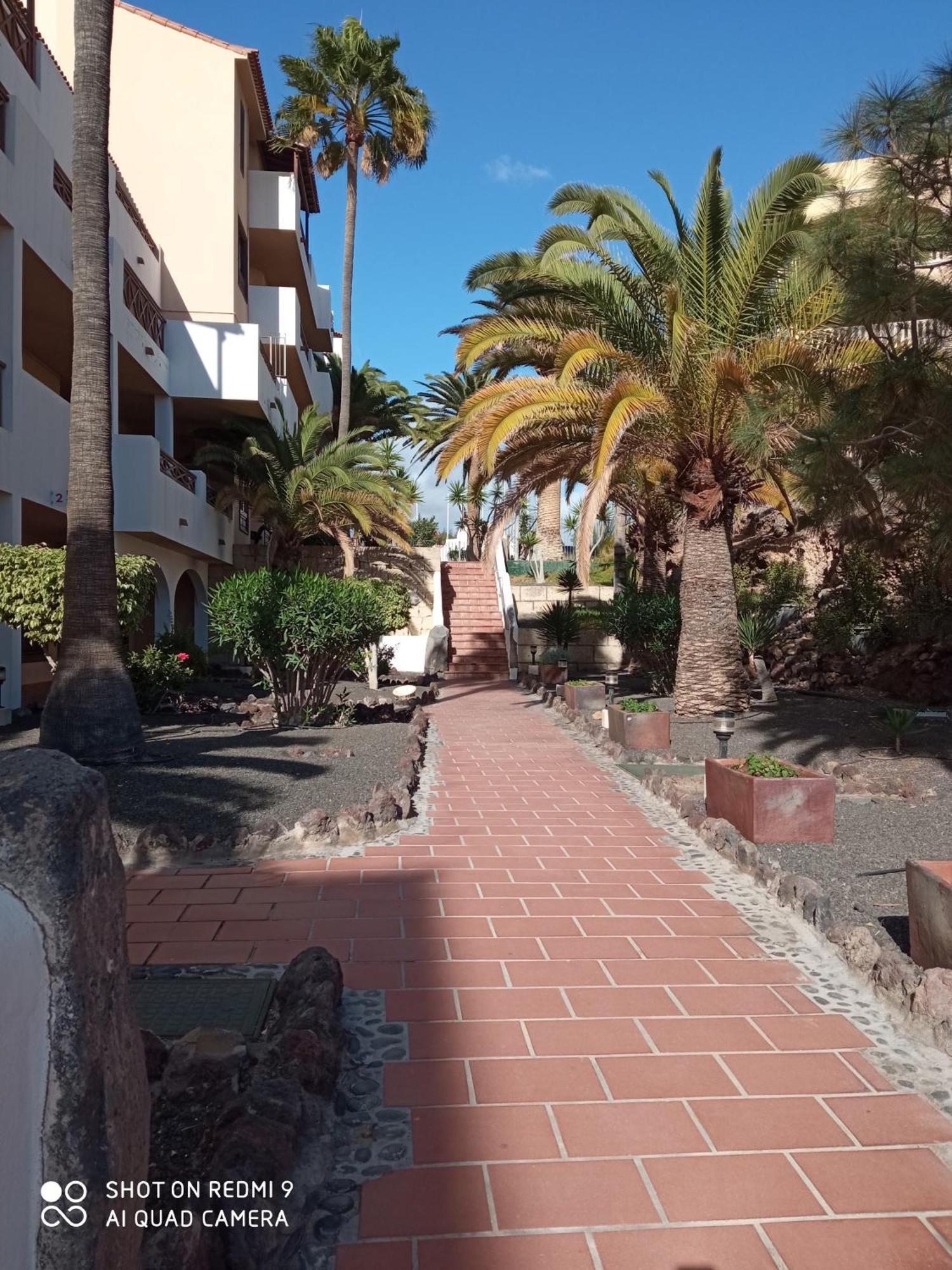 Las Meninas Tenerife 圣米格尔德阿沃纳 客房 照片